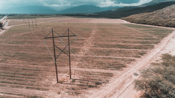 ETED trabajará en las líneas 69 kV Hainamosa – Tamarindo y Cruce de Cabral - Barahona Pueblo