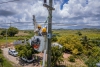 ETED realizará mantenimiento en las líneas 69 kV San Juan II - Las Matas - Elías Piña y 138 kV Diésel Pimentel – Nagua